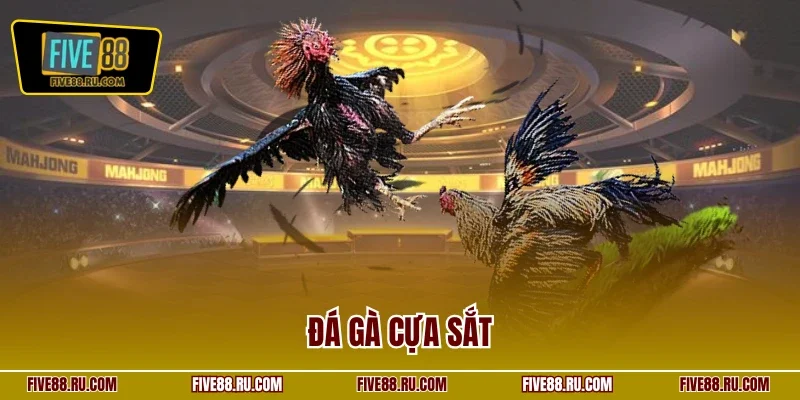 Đá gà cựa sắt