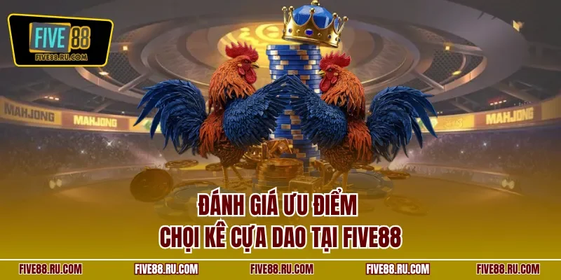 Đánh giá ưu điểm chọi kê cựa dao tại FIVE88